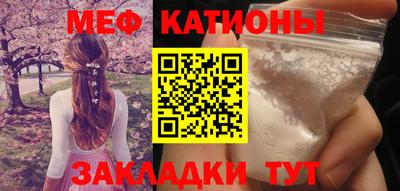 прущие грибы Будённовск