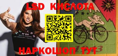 прущие грибы Будённовск