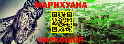 прущие грибы Будённовск