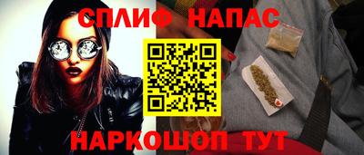 прущие грибы Будённовск