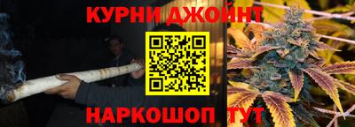 прущие грибы Будённовск