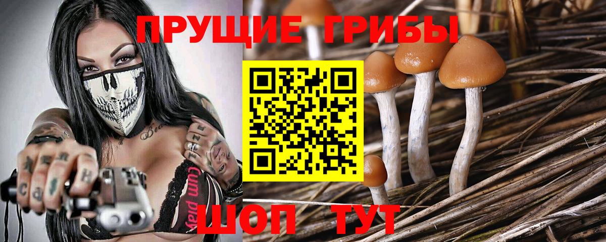 Полевской  Галлюциногенные грибы ЛСД  Вход с VPN 